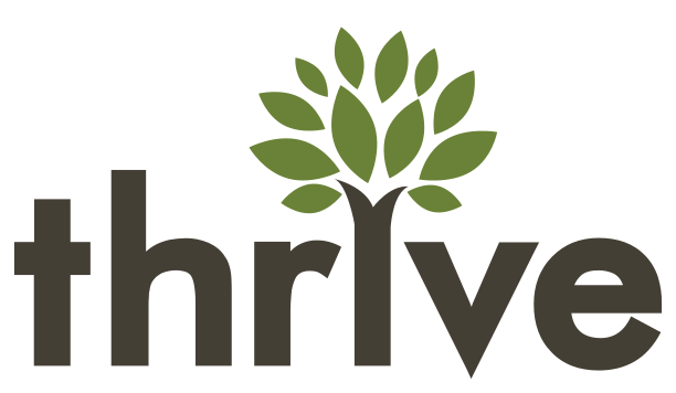 Thrive Digital marketing agency