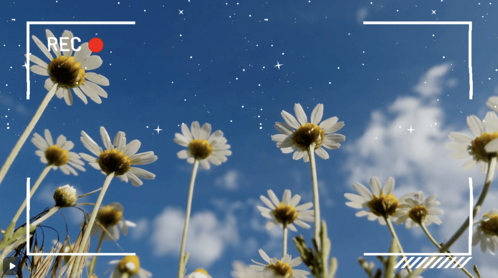 What Is Video Production: Types, Process & Tips